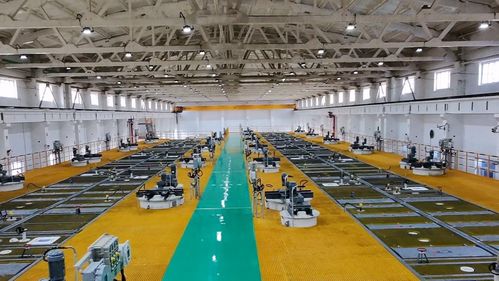 十六个季度的奋进答卷 金昌市以新能源技术开发驱动经济社会高质量发展纪实